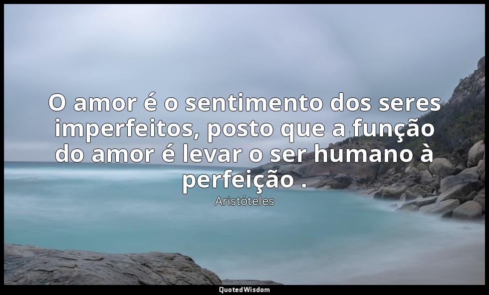 O amor é o sentimento dos seres imperfeitos, posto que a função do amor é levar  — Aristóteles