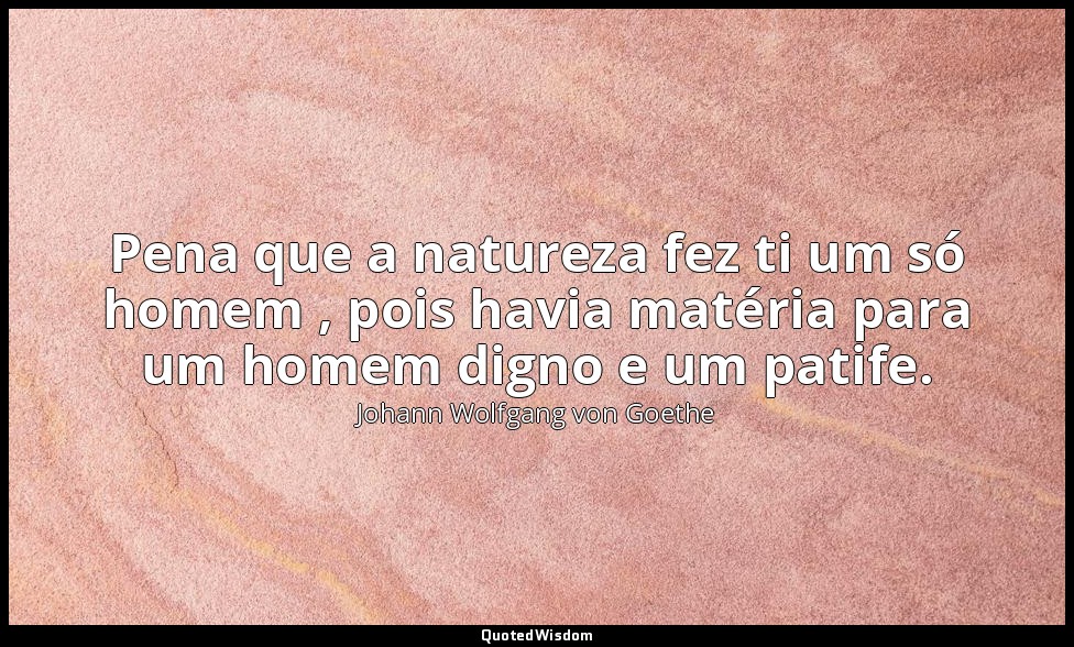 Pena que a natureza fez ti um só homem , pois havia matéria para um homem digno  — Johann Wolfgang von Goethe
