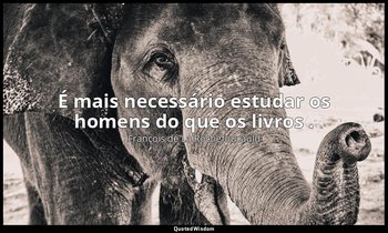 "É mais necessário estudar os homens do que os livros ." — François de La Rochefoucauld