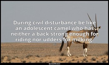 During civil disturbance be like an adolescent camel who has neither a back stro — Ali