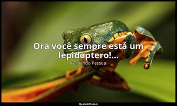 "Ora você sempre está um lepidóptero!..." — Fernando Pessoa