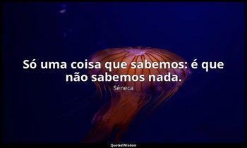 "Só uma coisa que sabemos: é que não sabemos nada." — Séneca