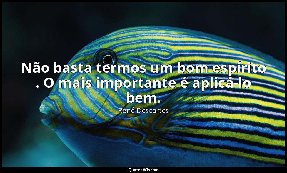 Não basta termos um bom espírito . O mais importante é aplicá-lo bem. — René Descartes