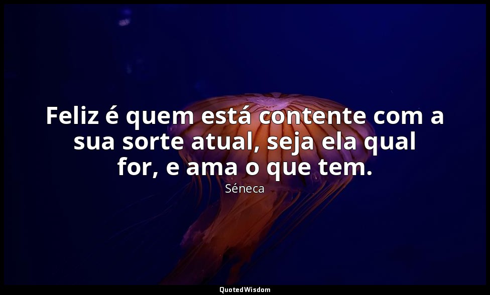Feliz é quem está contente com a sua sorte atual, seja ela qual for, e ama o que — Séneca