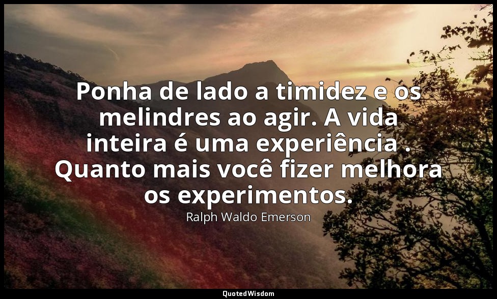 Ponha de lado a timidez e os melindres ao agir. A vida inteira é uma experiência — Ralph Waldo Emerson