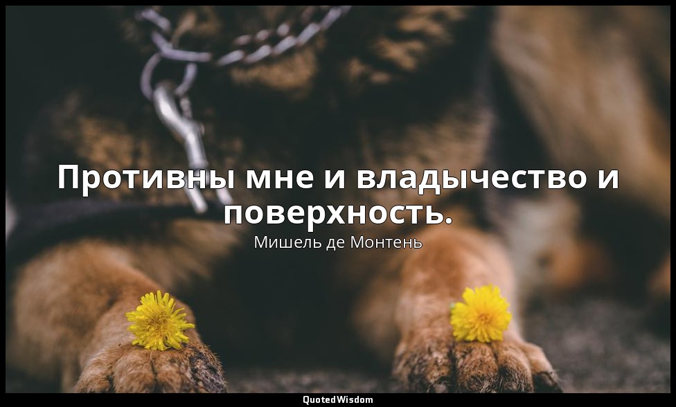 Противны мне и владычество и поверхность. — Мишель де Монтень