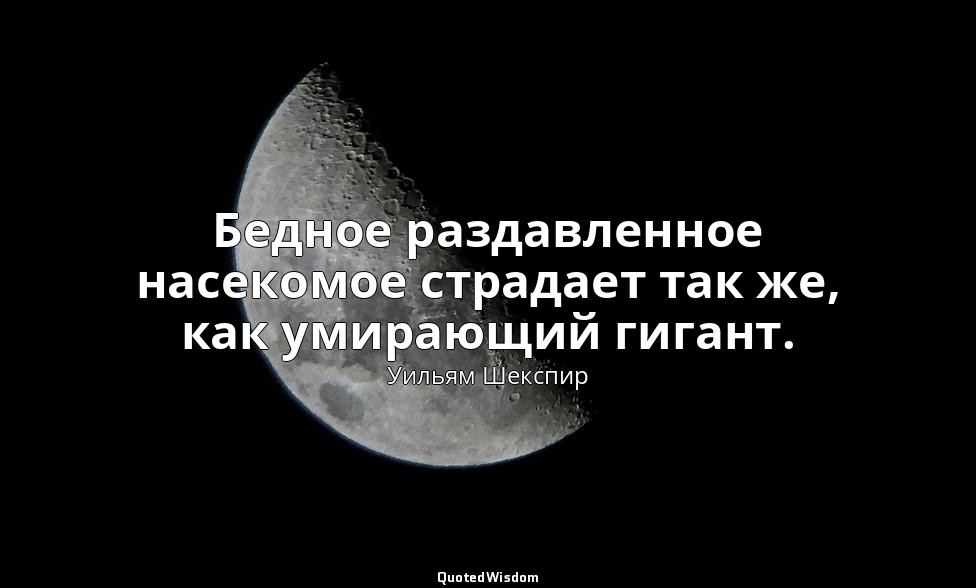 Бедное раздавленное насекомое страдает так же, как умирающий гигант. — Уильям Шекспир