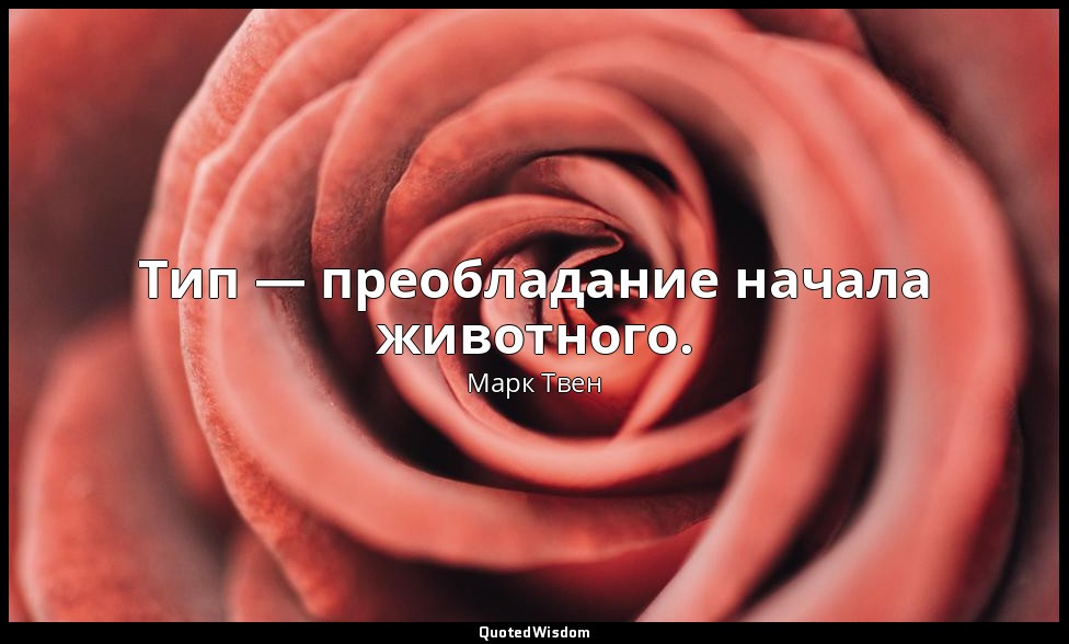 Тип — преобладание начала животного. — Марк Твен