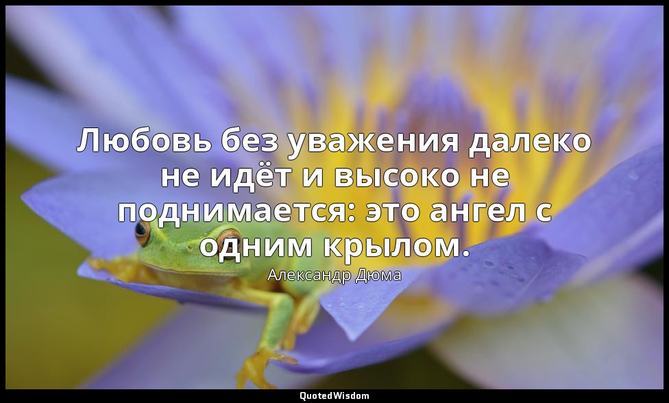 Любовь без уважения далеко не идёт и высоко не поднимается: это ангел с одним кр — Александр Дюма
