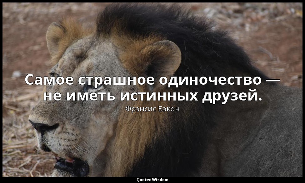 Самое страшное одиночество — не иметь истинных друзей. — Фрэнсис Бэкон