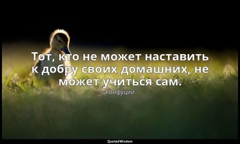 Тот, кто не может наставить к добру своих домашних, не может учиться сам. — Конфуций