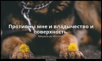 Противны мне и владычество и поверхность. — Мишель де Монтень