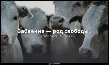 Забвение — род свободы . — Джебран Халиль Джебран