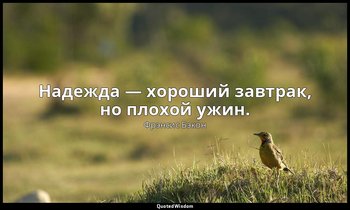 Надежда — хороший завтрак, но плохой ужин. — Фрэнсис Бэкон