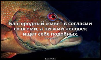 Благородный живёт в согласии со всеми, а низкий человек ищет себе подобных. — Конфуций