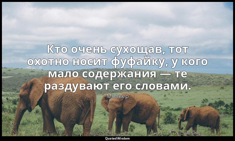 Кто очень сухощав, тот охотно носит фуфайку, у кого мало содержания — те раздува — Мольер