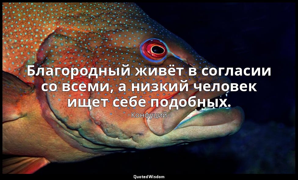 Благородный живёт в согласии со всеми, а низкий человек ищет себе подобных. — Конфуций