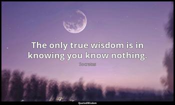 The only true wisdom is in knowing you know nothing. Socrates