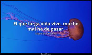 El que larga vida vive, mucho mal ha de pasar. Miguel de Cervantes