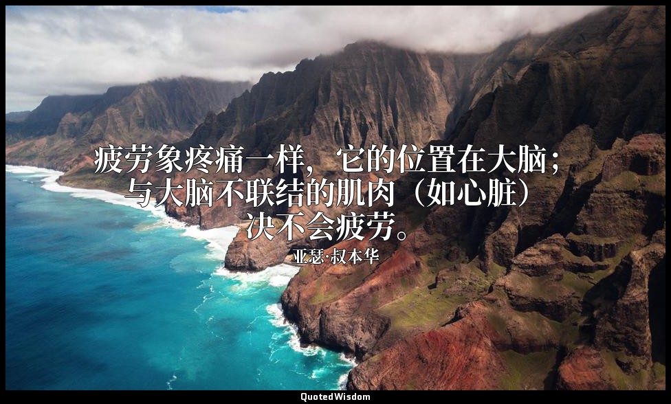 疲劳象疼痛一样，它的位置在大脑；与大脑不联结的肌肉（如心脏）决不会疲劳。 — 亚瑟·叔本华