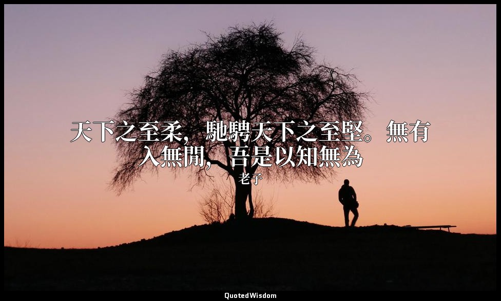 天下之至柔，馳騁天下之至堅。無有入無閒，吾是以知無為 — 老子