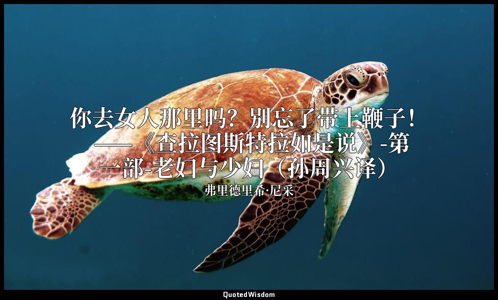 你去女人那里吗？别忘了带上鞭子！ ——《查拉图斯特拉如是说》-第一部-老妇与少妇（孙周兴译） — 弗里德里希·尼采
