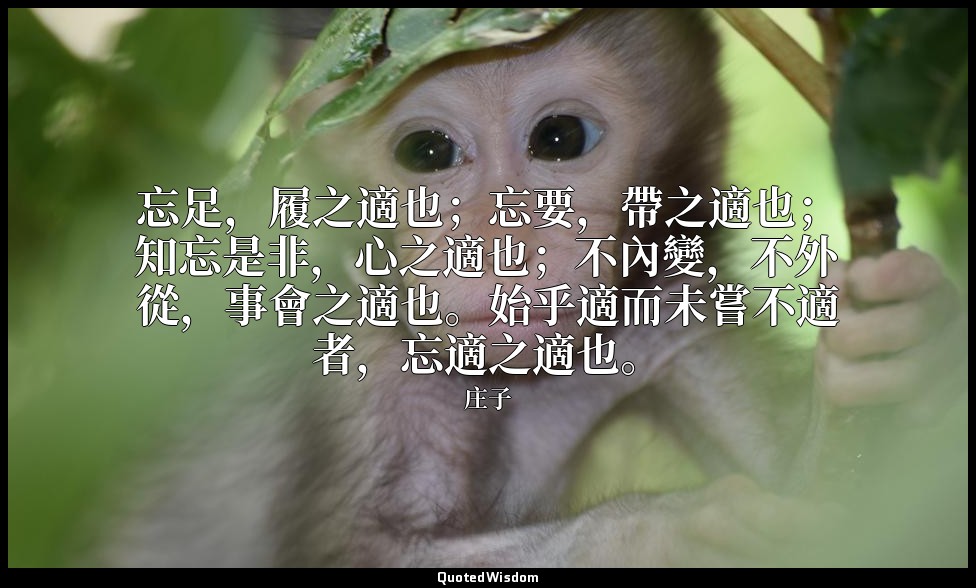 忘足，履之適也；忘要，帶之適也；知忘是非，心之適也；不內變，不外從，事會之適也。始乎適而未嘗不適者，忘適之適也。 — 庄子