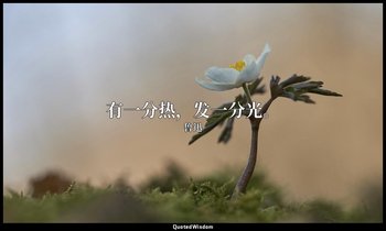 有一分热，发一分光。 — 鲁迅