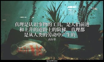 真理是认识事物的工具，是人们前进和上升的道路上的阶梯，真理都是从人类的劳动中产生的。 — 高尔基
