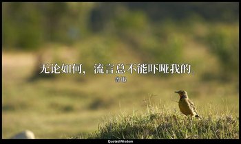 无论如何，流言总不能吓哑我的。 — 鲁迅