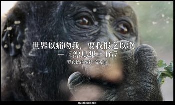 世界以痛吻我，要我报之以歌。－《漂鳥集》167 — 罗宾德拉纳特·泰戈尔