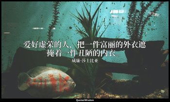 爱好虚荣的人，把一件富丽的外衣遮掩着一件丑陋的内衣。 — 威廉·莎士比亚