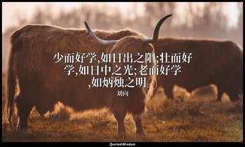少而好学,如日出之阳;壮而好学,如日中之光;老而好学,如炳烛之明。 — 刘向
