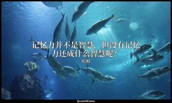 记忆力并不是智慧，但没有记忆力还成什么智慧呢？ — 哈柏