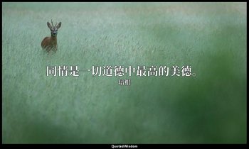 同情是一切道德中最高的美德。 — 培根