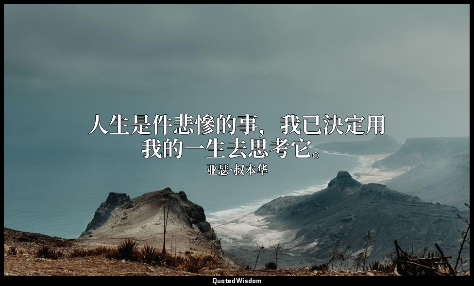 人生是件悲慘的事，我已決定用我的一生去思考它。 — 亚瑟·叔本华