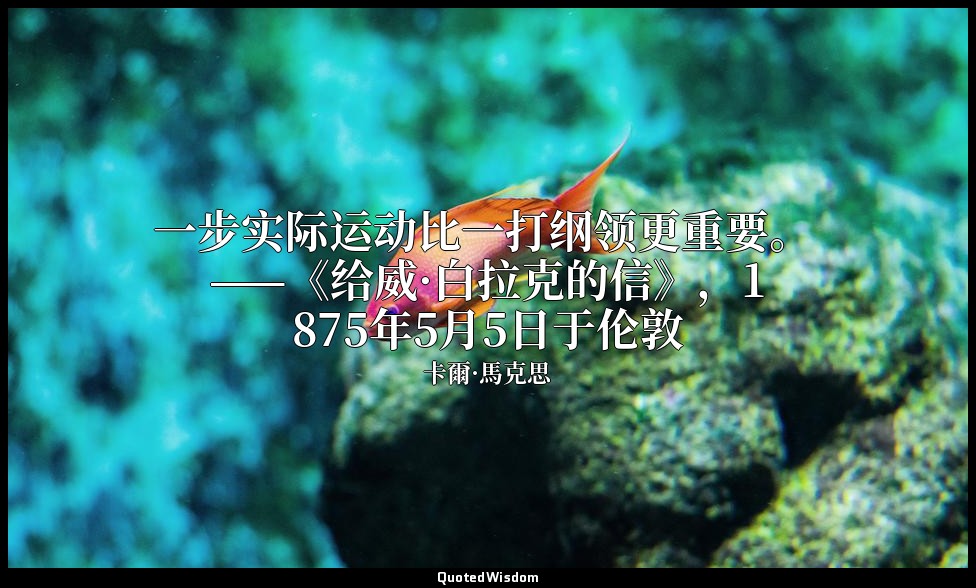一步实际运动比一打纲领更重要。 ——《给威·白拉克的信》，1875年5月5日于伦敦 — 卡爾·馬克思